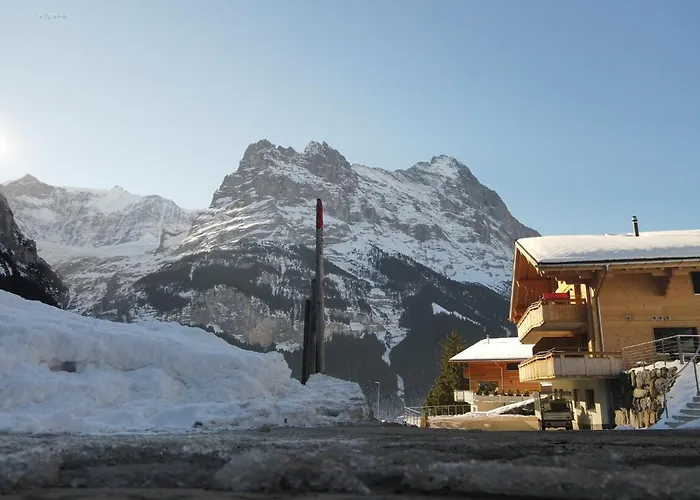 Mila Apartamento Grindelwald